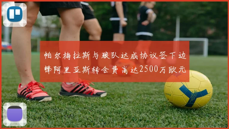 帕尔梅拉斯与狼队达成协议签下边锋阿里亚斯转会费高达2500万欧元